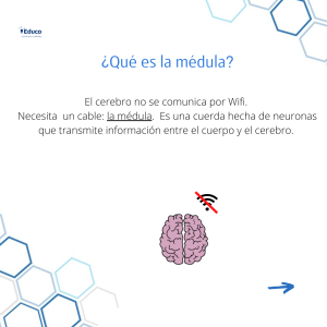 White and Blue Bold Type and Grunge Animals Fundraising Instagram Post